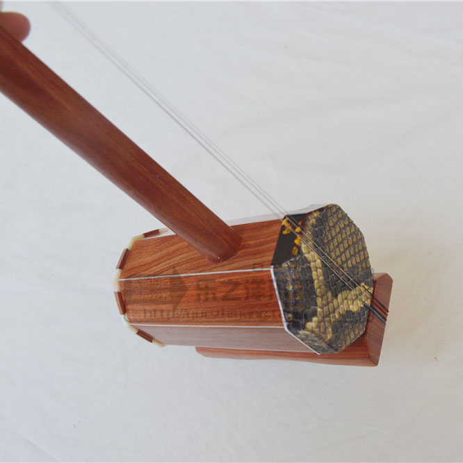 ����С�~�t̴�����ĺ�